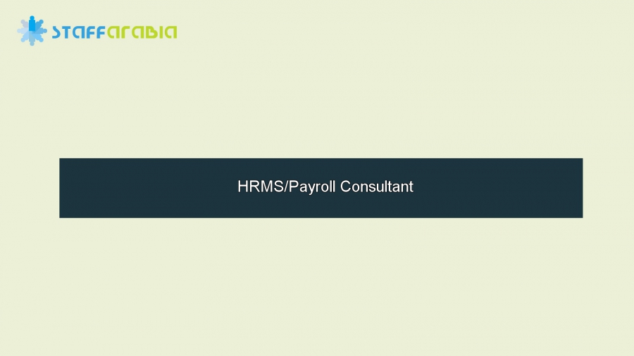 HRMS/Payroll Consultant