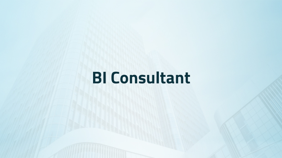 BI Consultant
