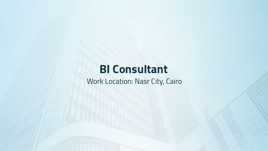 BI Consultant