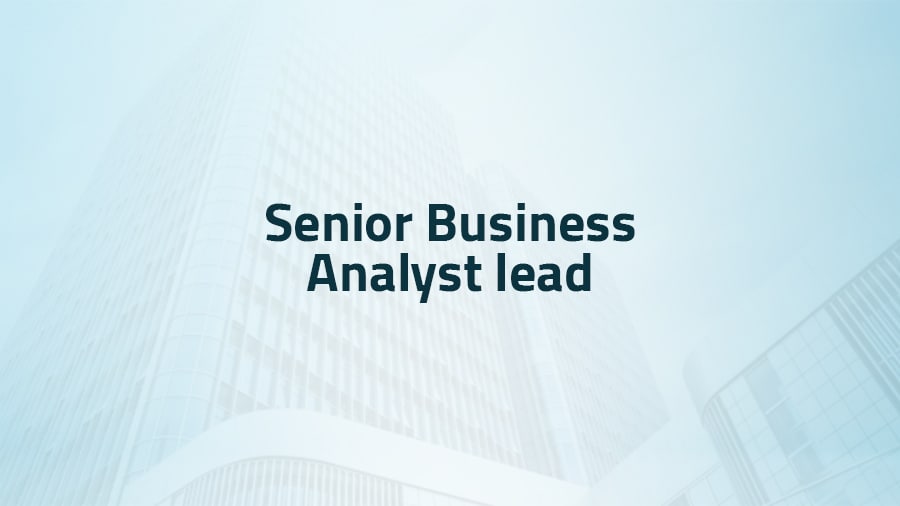 Senior Business Analyst lead