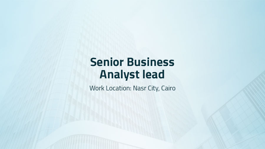 Senior Business Analyst lead