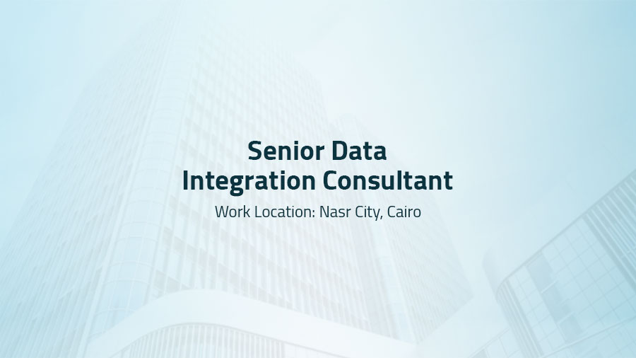 Senior Data Integration Consultant 