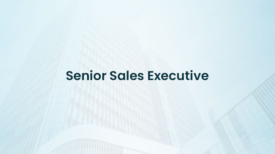 Senior Sales Executive