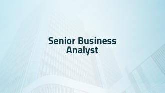 Senior Business Analyst