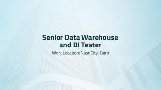 Senior Data Warehouse and BI Tester