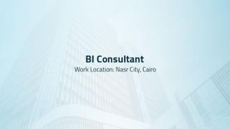 BI Consultant
