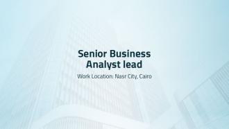 Senior Business Analyst lead