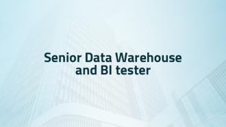Senior Datawarehouse and BI Tester