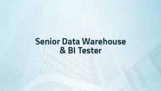Senior Data warehouse and BI Tester